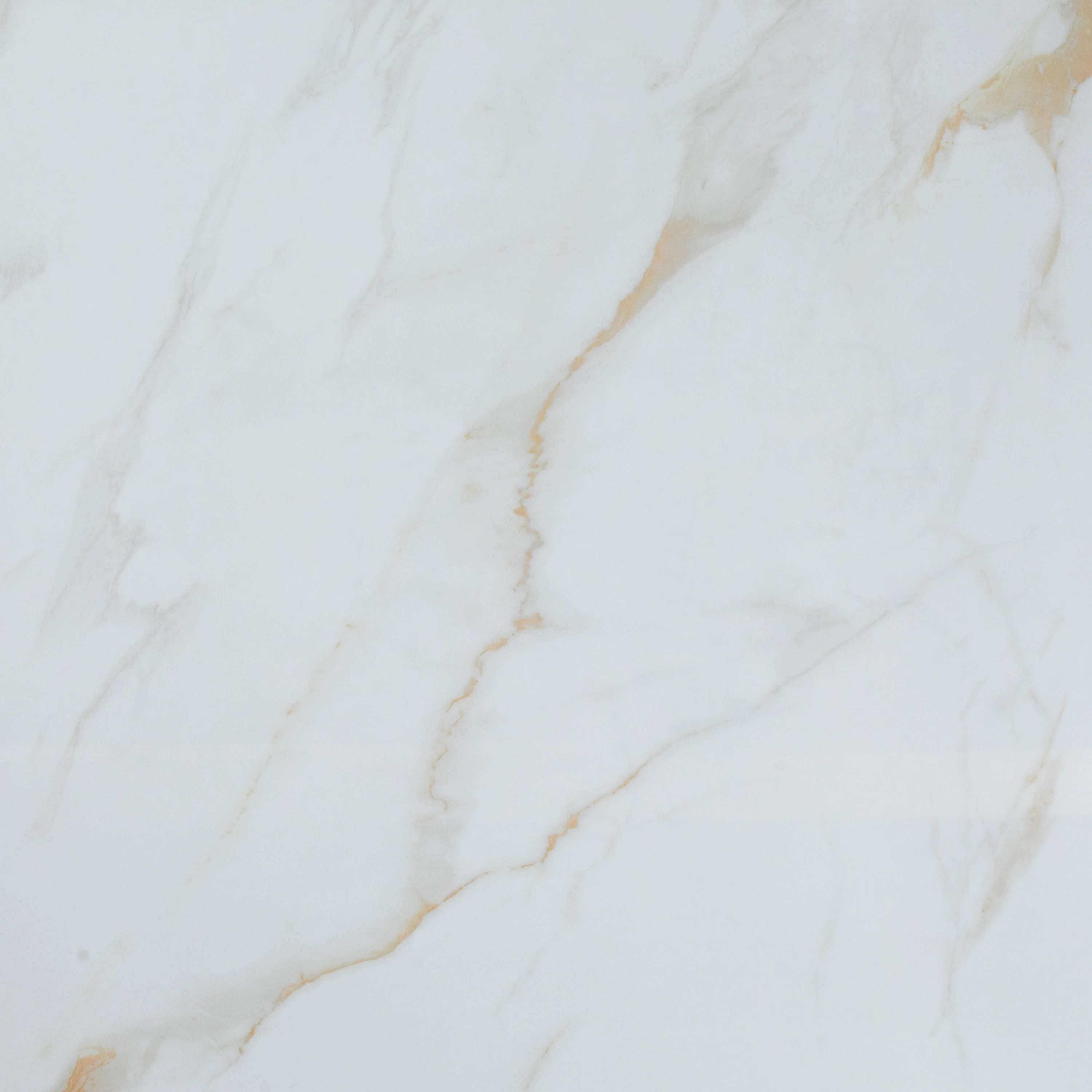 Carrara Golden Line 2.0 Polished - Image 3
