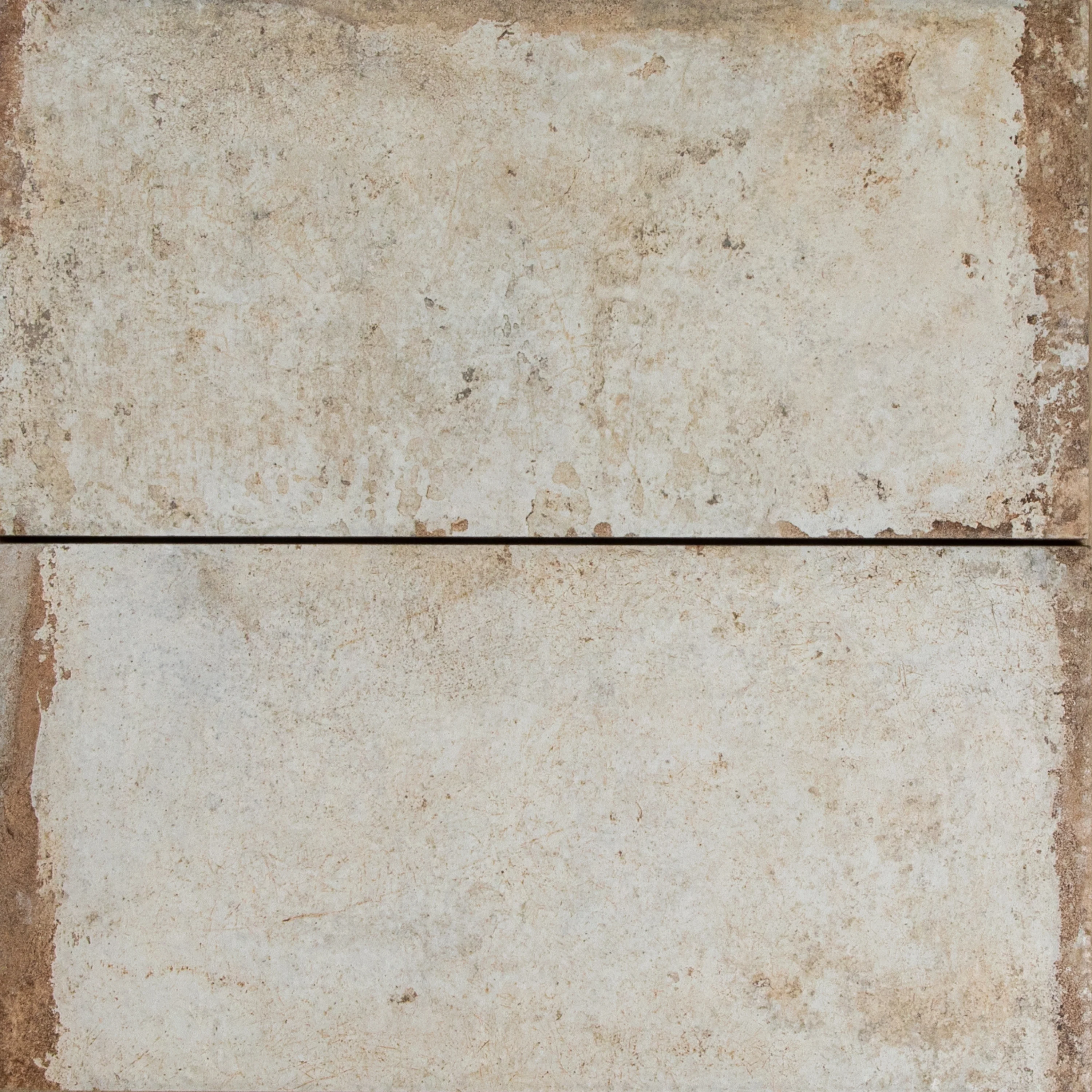 Havana Sugar Cane Bianco - Image 3