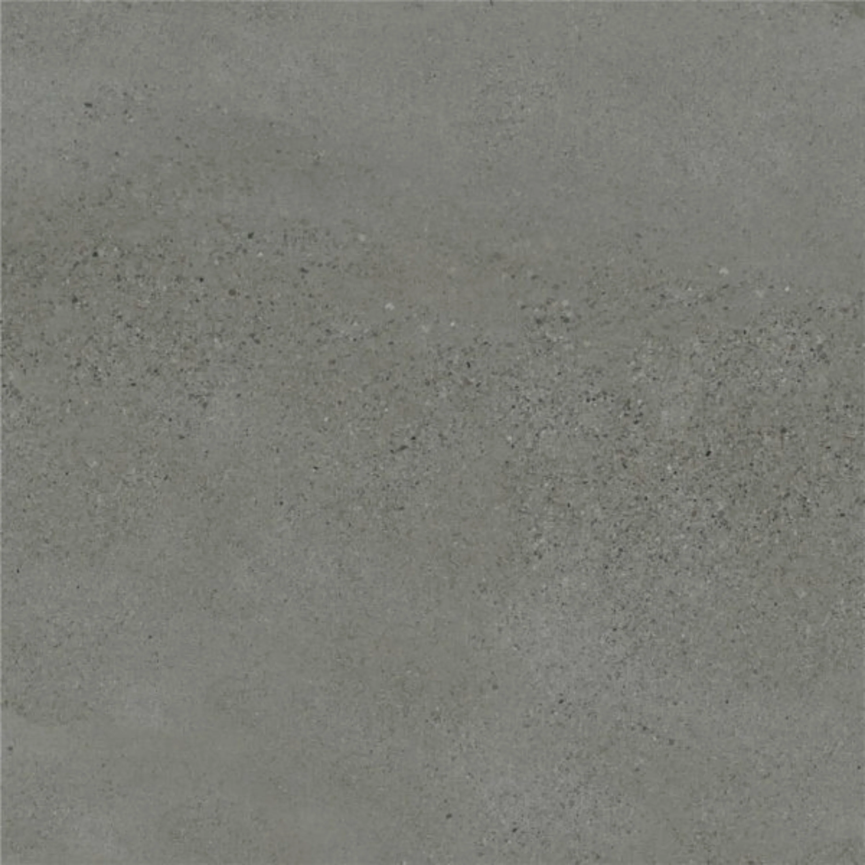 Moonstone Oyster External - Image 2