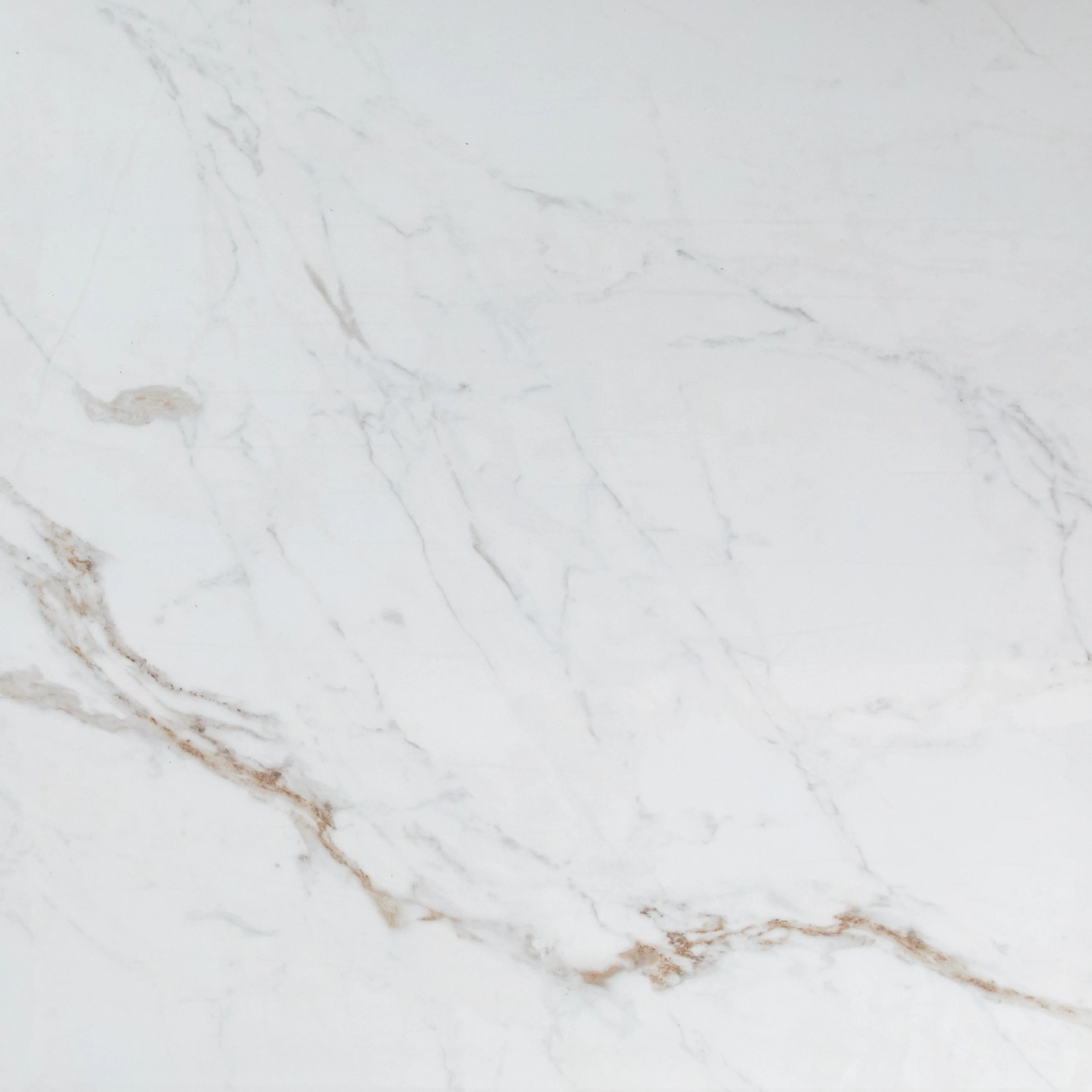 Paonazzo White Carrara Polished - Image 3