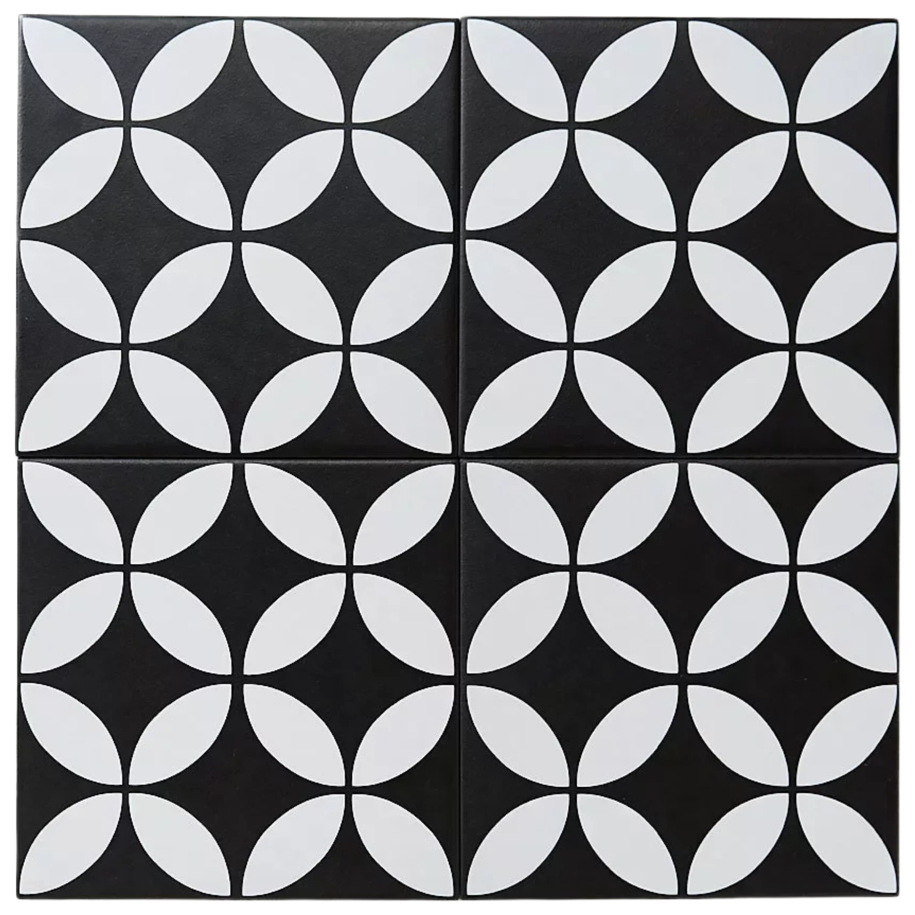 Picasso Star Black - Image 3