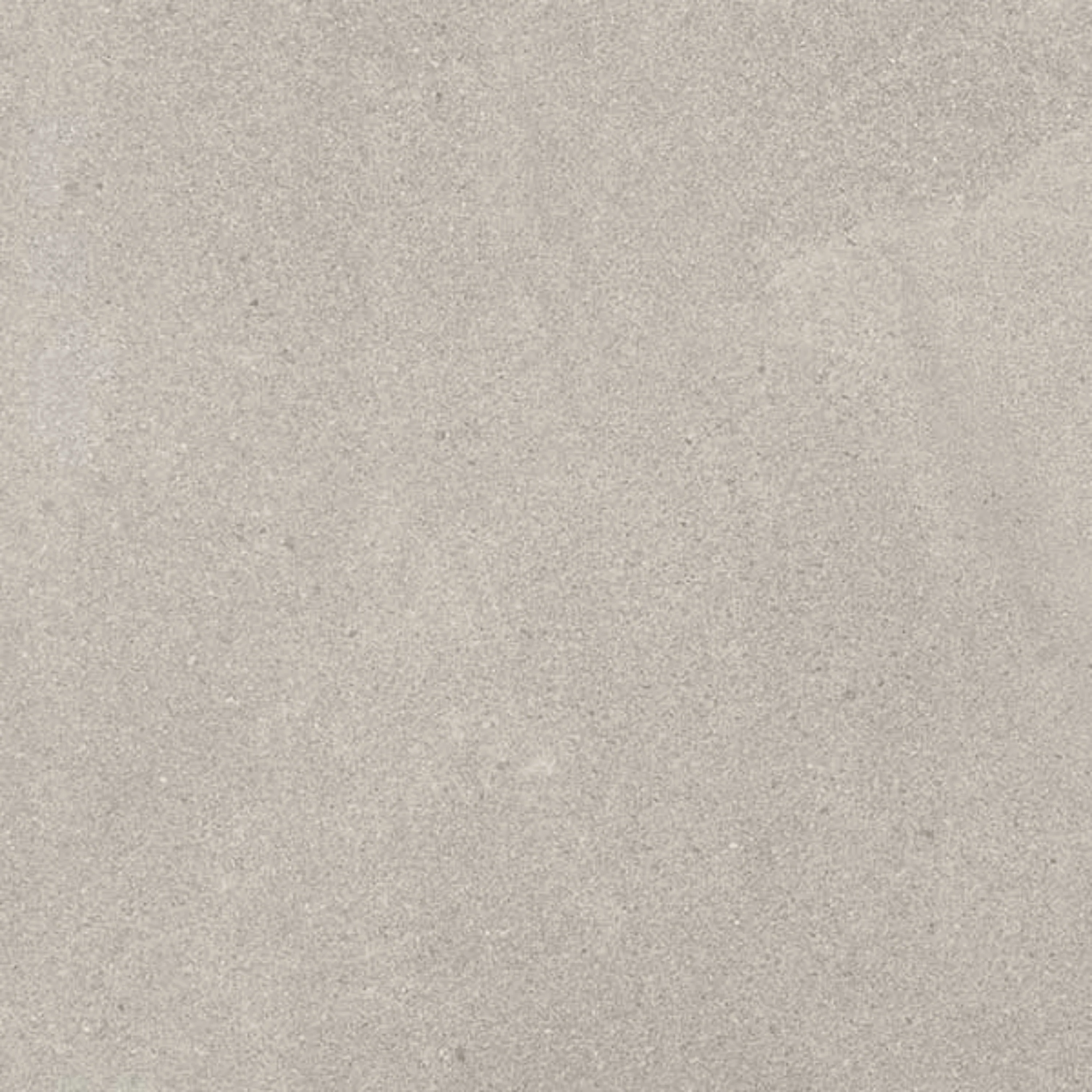 Spartia Gris In Out - Image 3