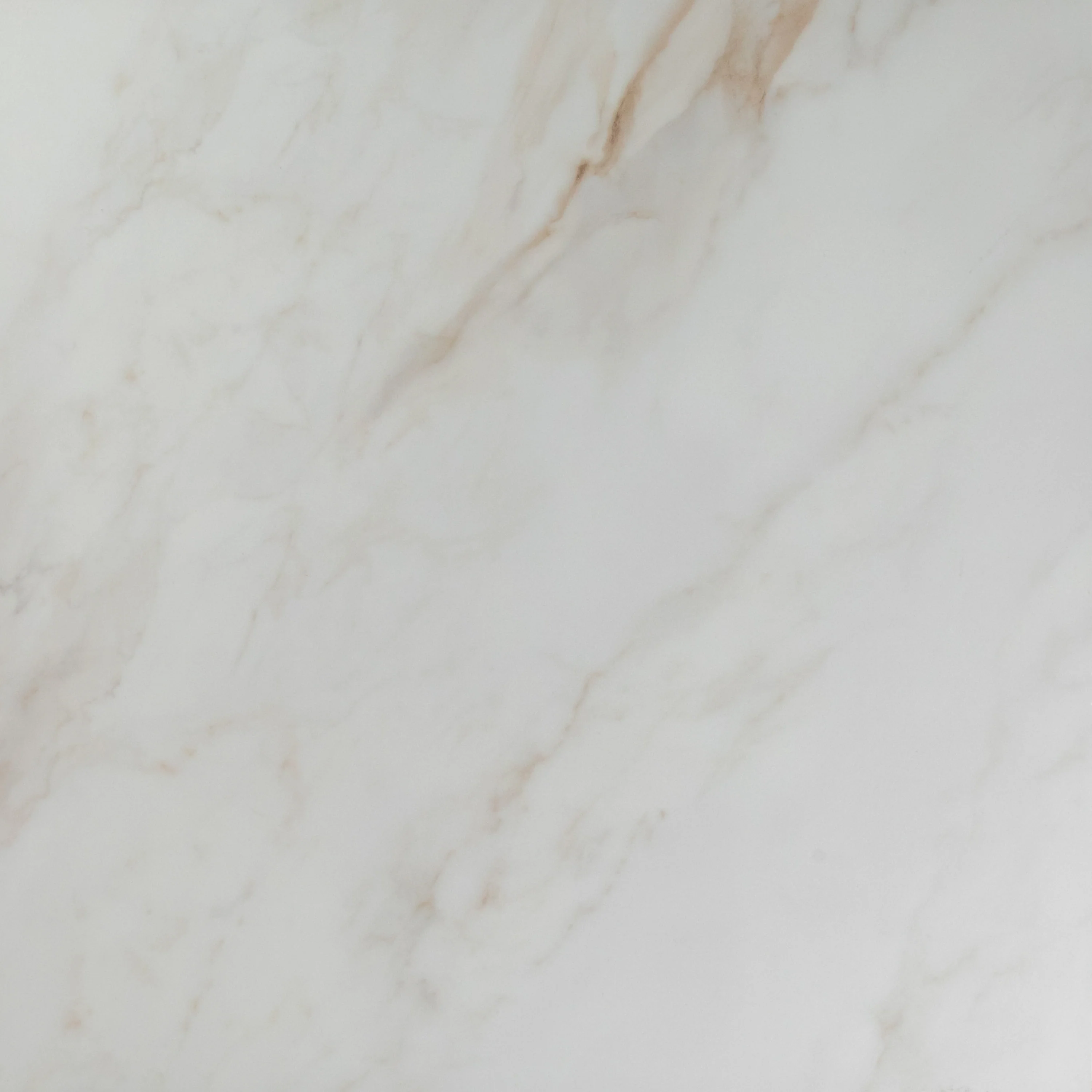 White Plus Calacatta Gold Matte - Image 3