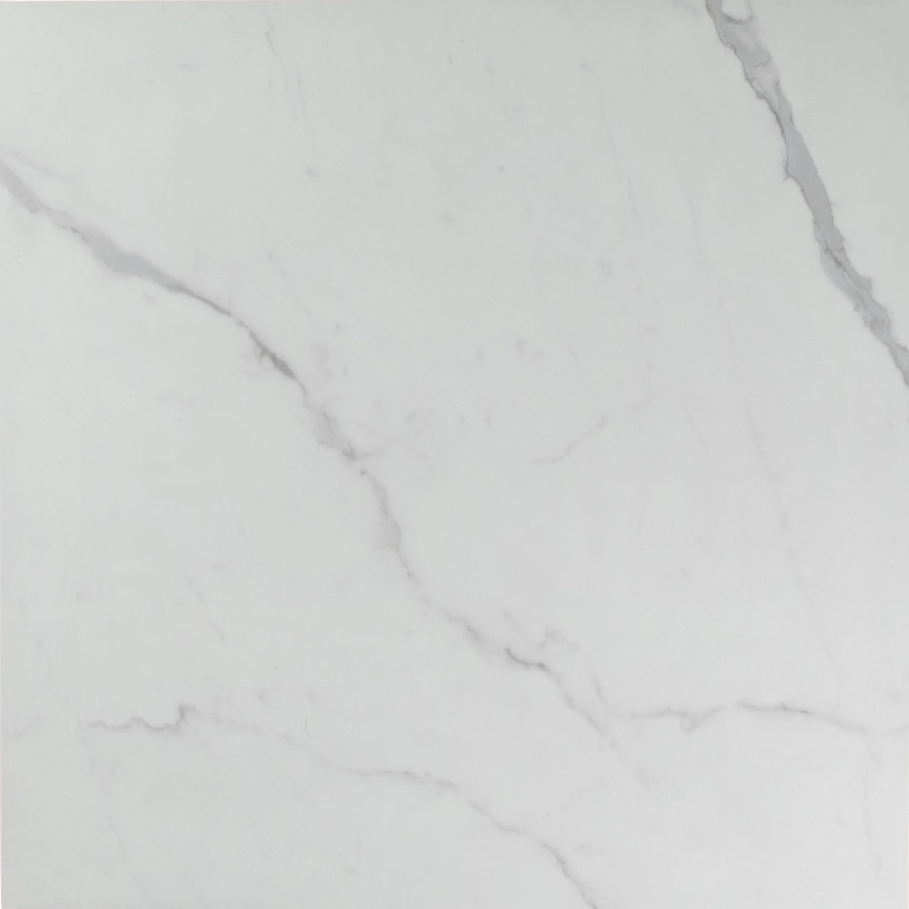 White Plus Calacatta Polished - Image 3